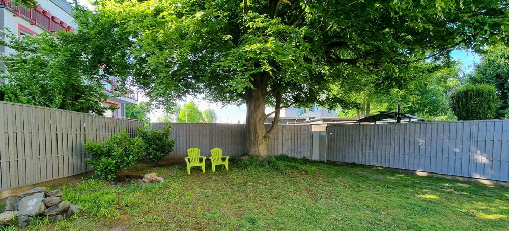 Nachher: Garten freigeschnitten